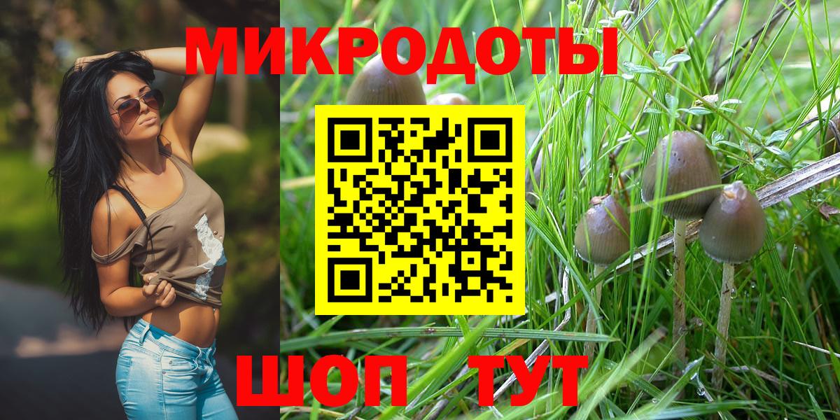 Псилоцибиновые грибы Psilocybine cubensis Коломна