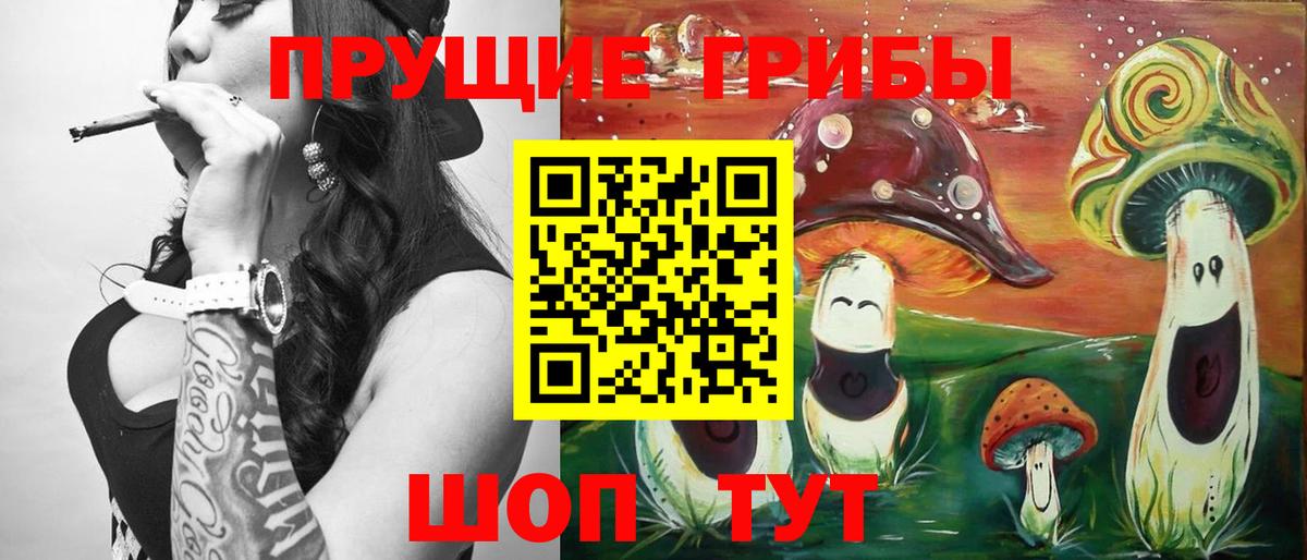 Галлюциногенные грибы Cubensis  Вход с VPN  Коломна  Псилоцибиновые грибы Cubensis 